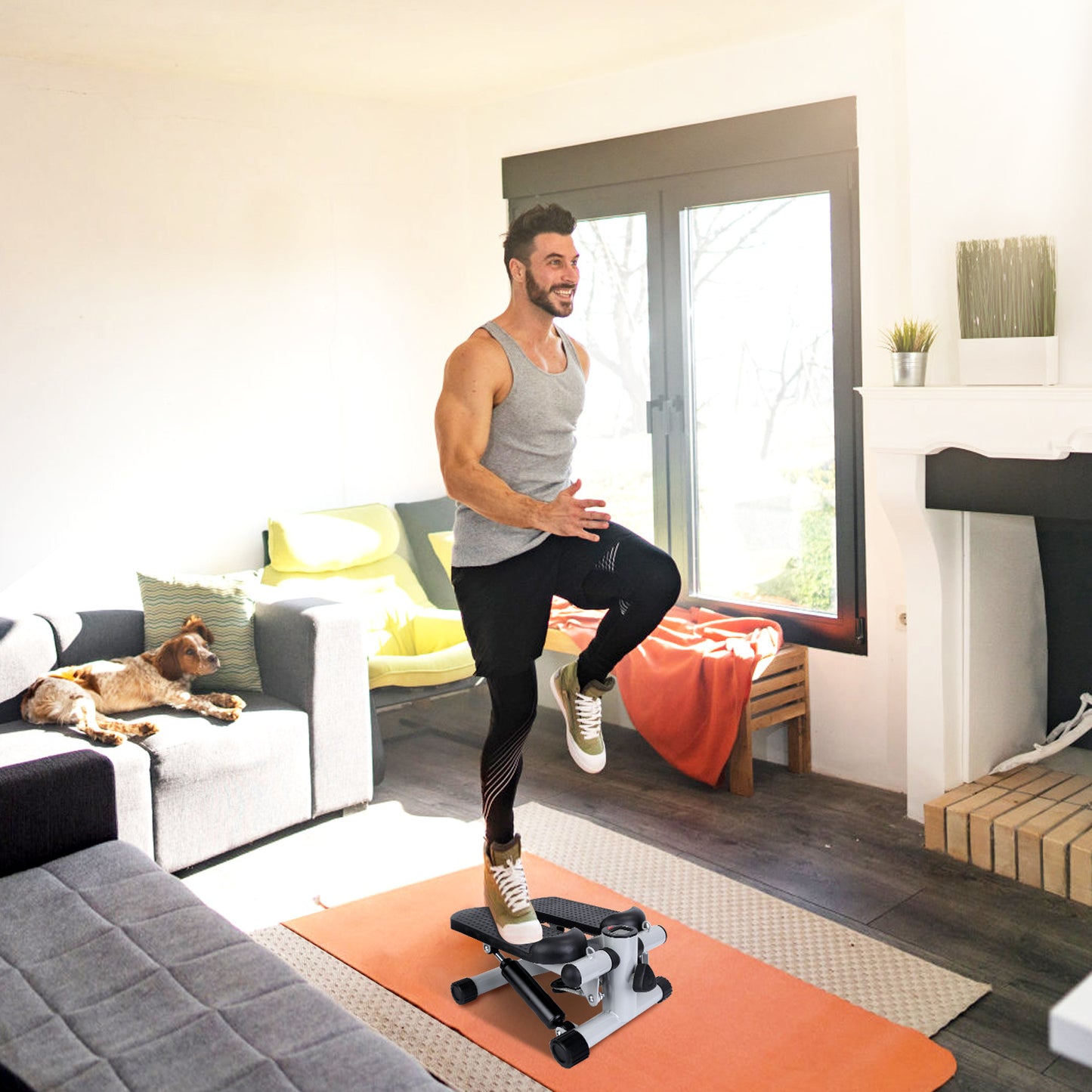MaxBurn Mini Stepper